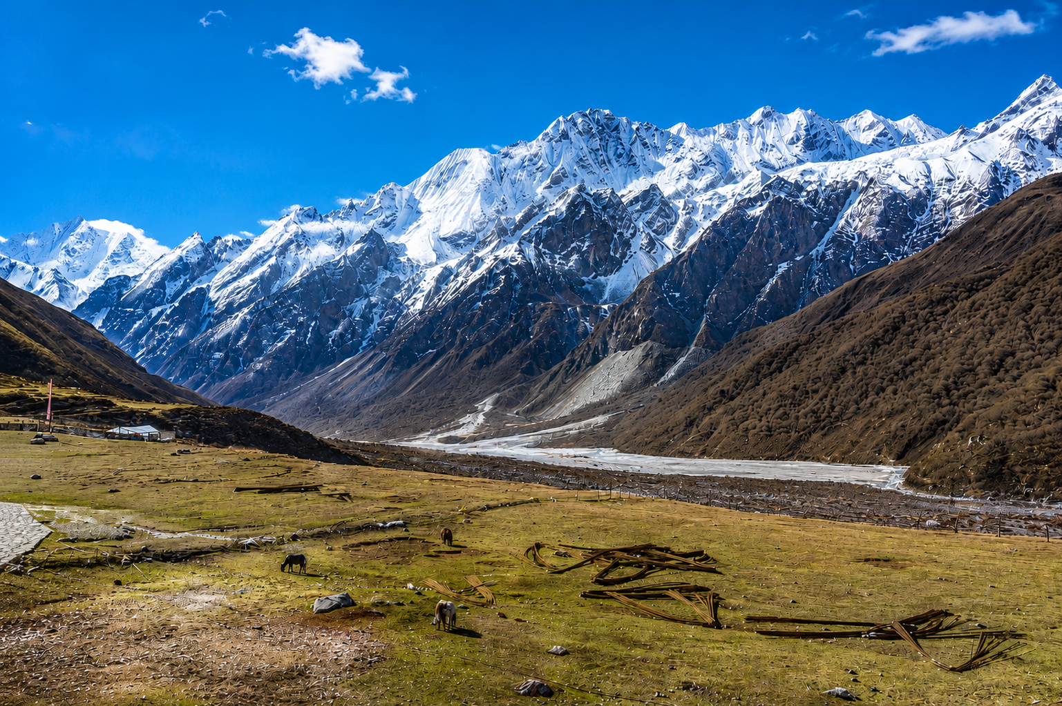 Trek from Langtang Village to Kyanjin Gompa